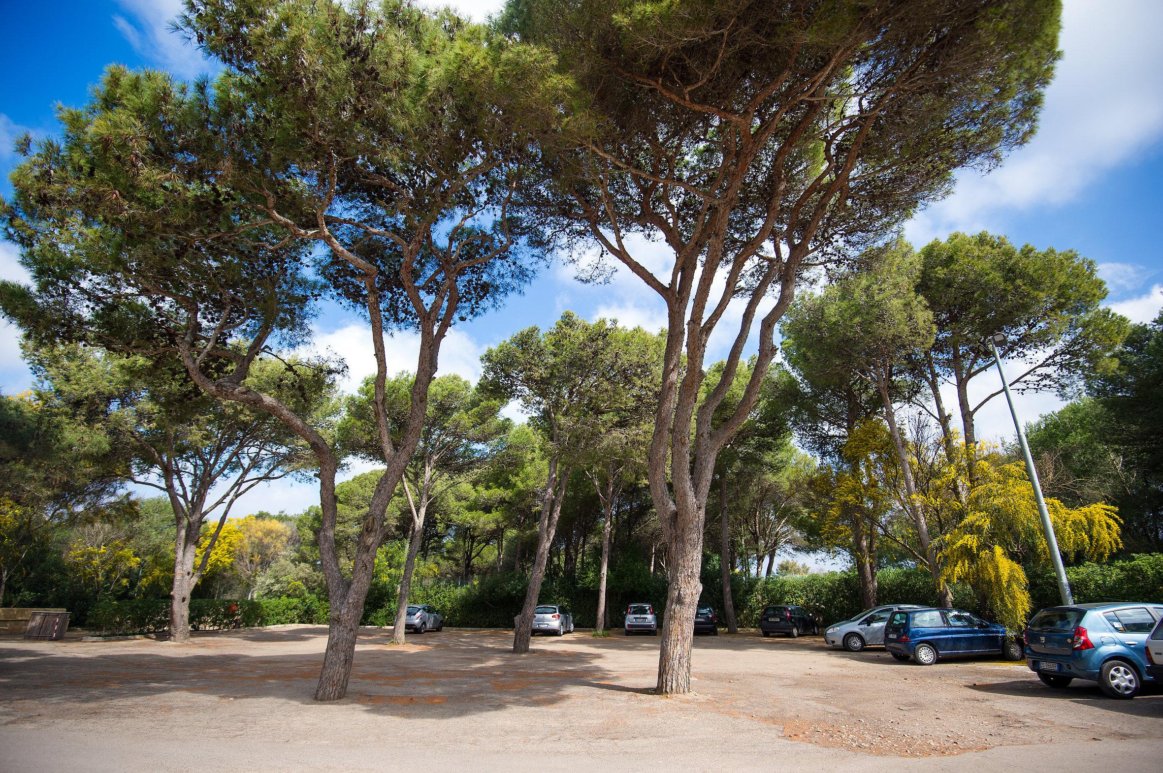 Ecoresort Le Sirene - Caroli Hotels Gallipoli Kültér fotó